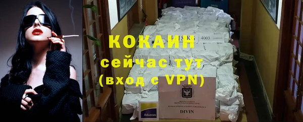 шишки Абаза